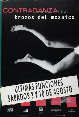 Afiche de presentación de "Trozos del mosaico".