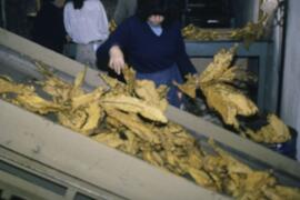 Sin título